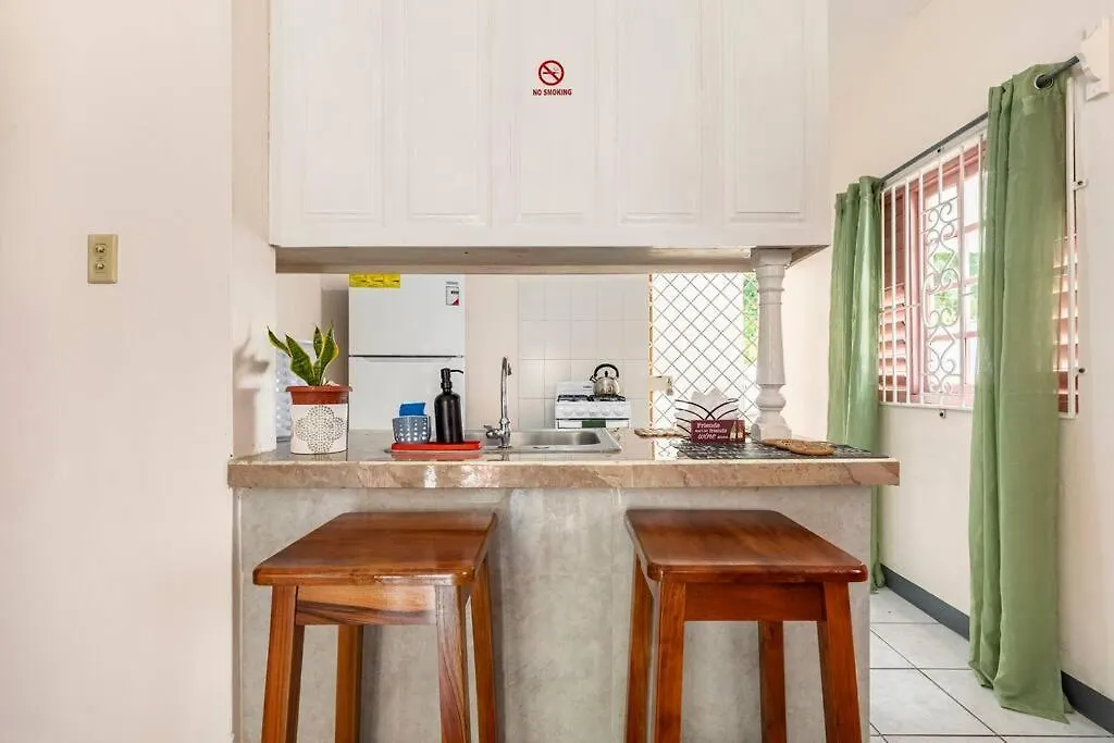 Shaw Park Gem Apartment Ocho Rios 0*,